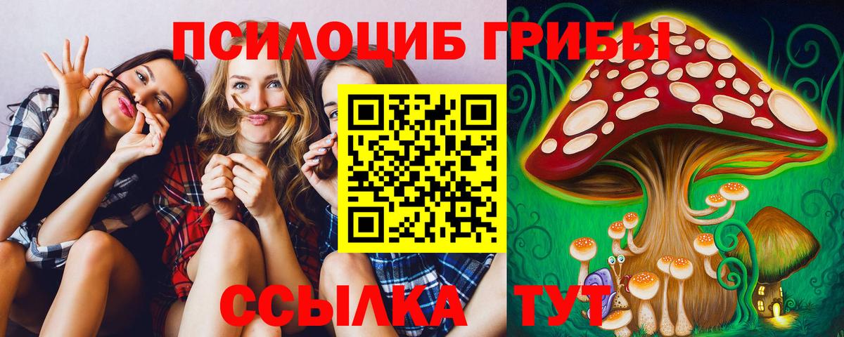 Галлюциногенные грибы ЛСД  Псилоцибиновые грибы прущие грибы  Кстово  сколько стоит  Вход с VPN 