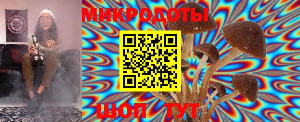Галлюциногенные грибы Cubensis Кстово